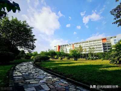 西南政法大学实力强吗(西南政法大学有多可怕)