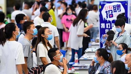 高校毕业生求职现状 大学生薪资等级表揭示本科生多为低档