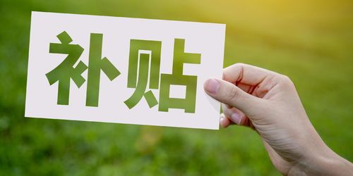 河南高校毕业生求职补贴政策 符合条件的毕业生可申领2000元补贴