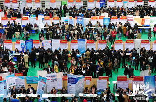 安徽高校毕业生校园求职热