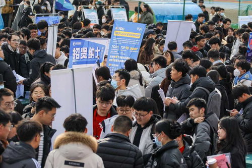 “春风”送暖促就业 青岛多措并举助力高校毕业生扬帆启程