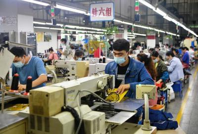 落地有声 | 稳就业政策持续发力 高校毕业生求职新机遇