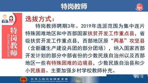 九大主流就业渠道 高校毕业生求职的必经之路